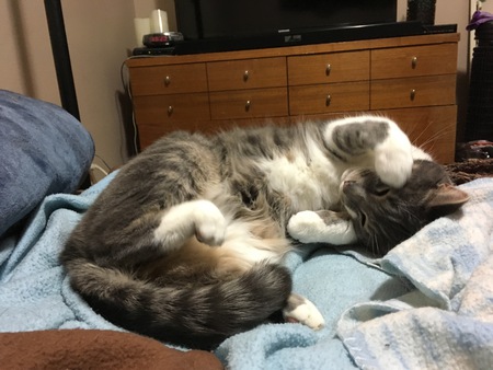 Entry image for Bubbles . Clicking this image will show a larger photo