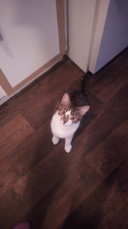 Entry image for Mimi. Clicking this image will show a larger photo