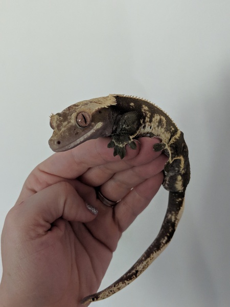 Entry image for Eric . Clicking this image will show a larger photo