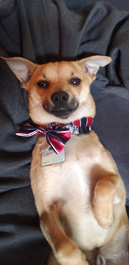 Entry image for Jack. Clicking this image will show a larger photo