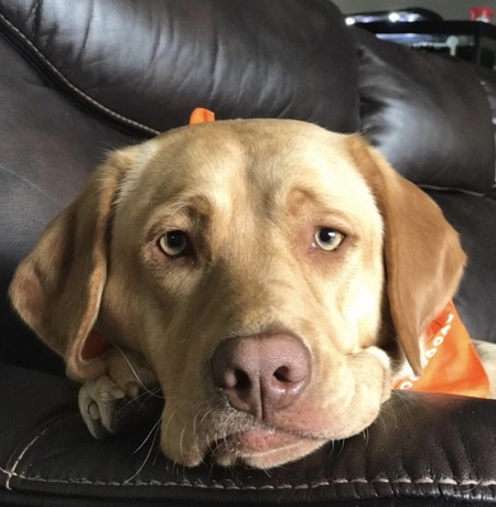 Entry image for Mabel. Clicking this image will show a larger photo