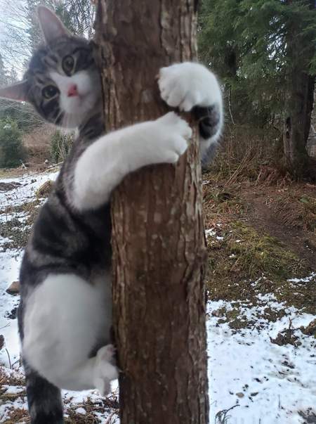 Entry image for Kevin Bacon. Clicking this image will show a larger photo