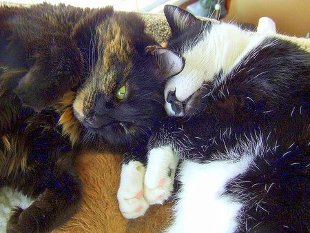 Entry image for Tina and Max. Clicking this image will show a larger photo