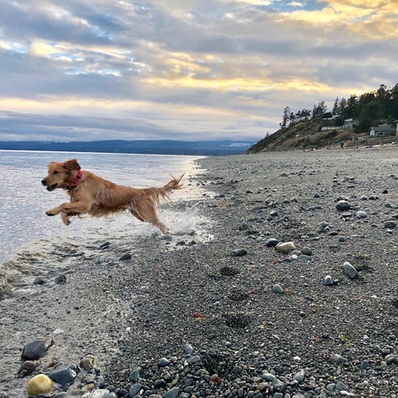 Entry image for Aurora . Clicking this image will show a larger photo