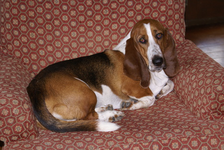 Bogardus "Boggie"