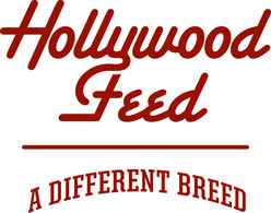 Hollywood Feed