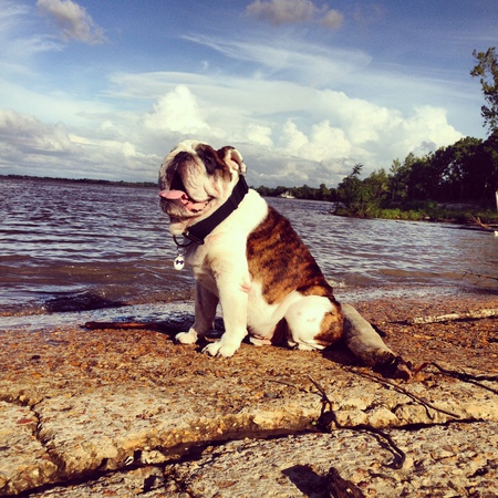 Gilligan