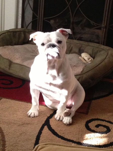 Pearl in the sunbeam