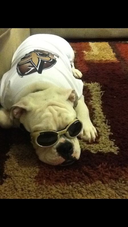 Maze  the " Who Dat"