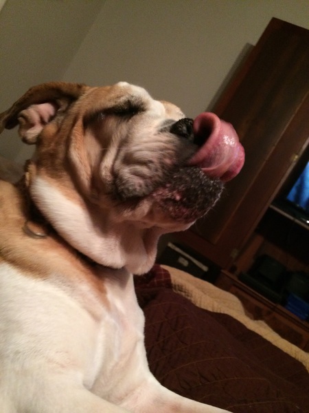 Harlee
