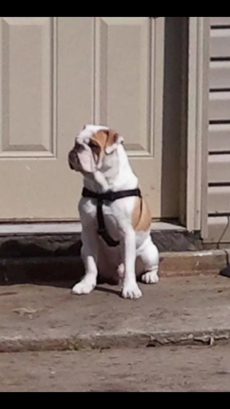 Max