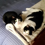 Entry image for Cinder and Ashley