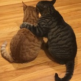 Entry image for Sonny & Max