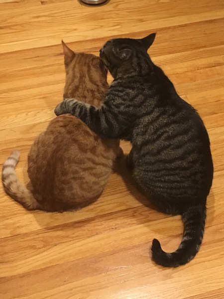 Entry image for Sonny & Max. Clicking this image will show a larger photo