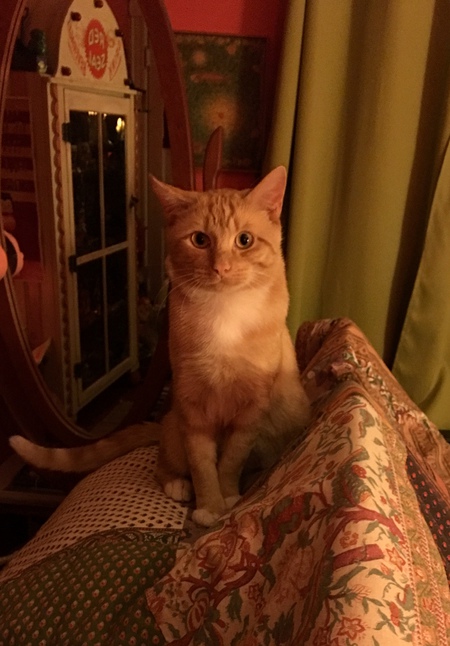 Entry image for Jazzpurr . Clicking this image will show a larger photo