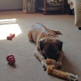 Entry image for Reya