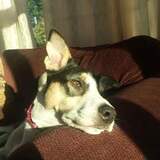 Entry image for Claire