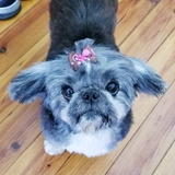 Entry image for Sarah