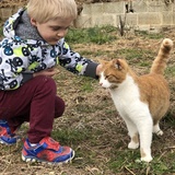 Entry image for Jack