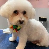 Entry image for Lucy