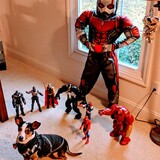 Entry image for Travis