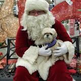 Entry image for Sophie