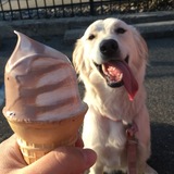 Entry image for Maggie