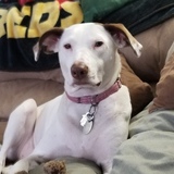 Entry image for Brittney