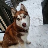 Entry image for Athena