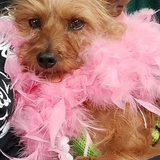 Entry image for Sophie