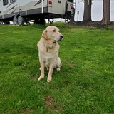 Entry image for HARLEY