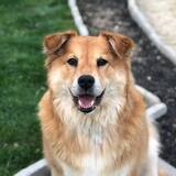 Entry image for Kona