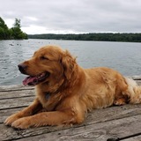 Entry image for Sandy 