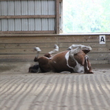 Entry image for Kallie