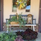 Entry image for Aruba