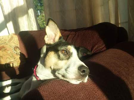 Entry image for Claire. Clicking this image will show a larger photo