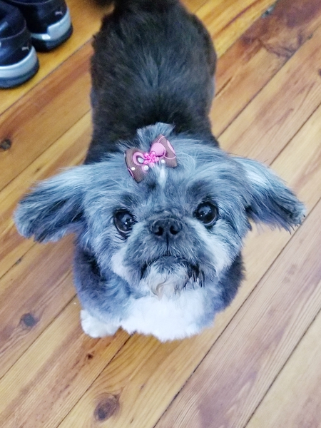 Entry image for Sarah. Clicking this image will show a larger photo