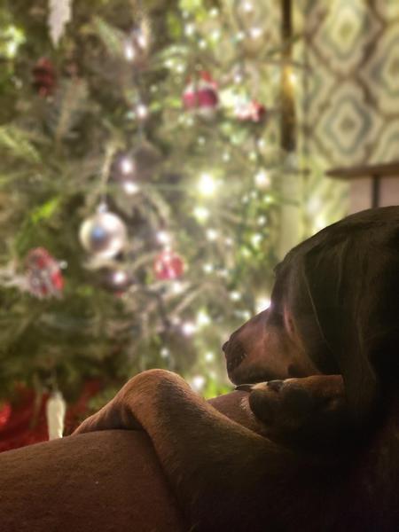 Entry image for Odin. Clicking this image will show a larger photo