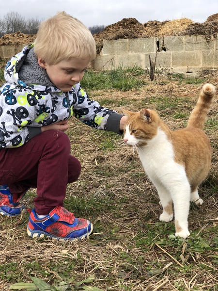 Entry image for Jack. Clicking this image will show a larger photo