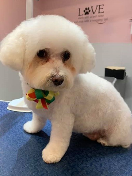 Entry image for Lucy. Clicking this image will show a larger photo