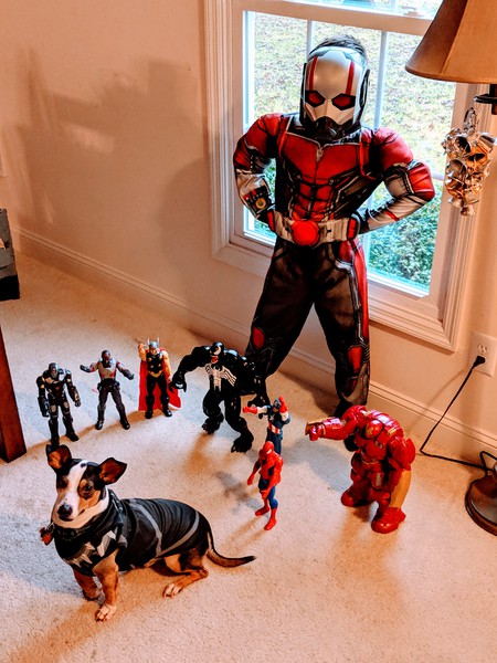 Entry image for Travis. Clicking this image will show a larger photo