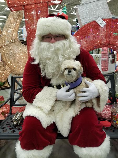 Entry image for Sophie. Clicking this image will show a larger photo