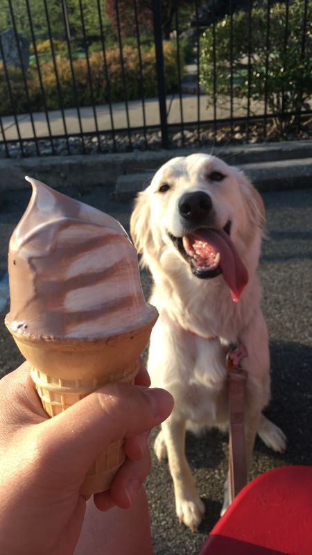 Entry image for Maggie. Clicking this image will show a larger photo