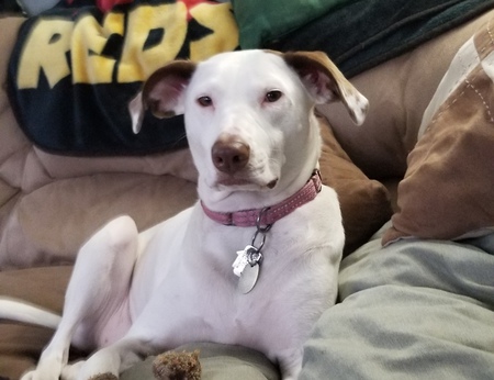 Entry image for Brittney. Clicking this image will show a larger photo