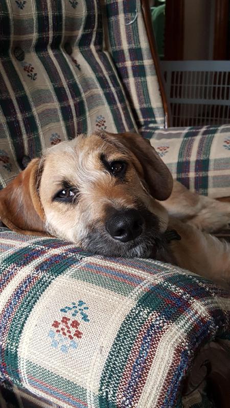 Entry image for Lance. Clicking this image will show a larger photo