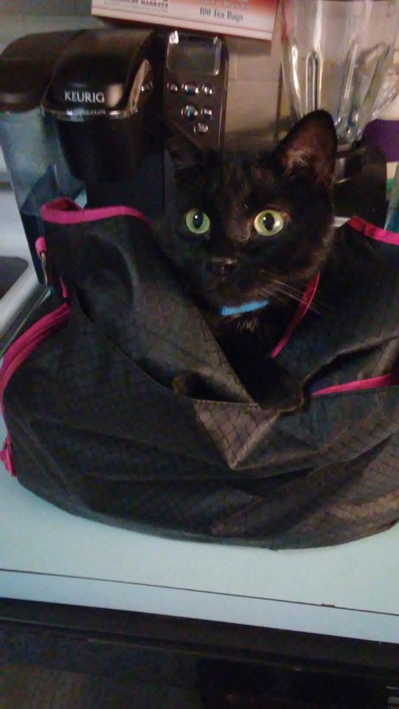 Entry image for Salem. Clicking this image will show a larger photo