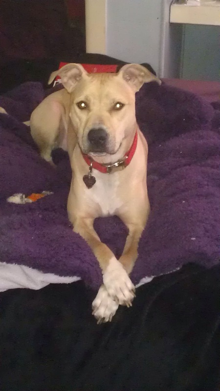 Entry image for Brandy. Clicking this image will show a larger photo