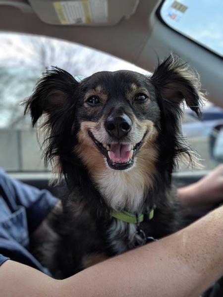 Entry image for Gibson. Clicking this image will show a larger photo