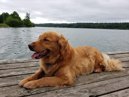 Entry image for Sandy . Clicking this image will show a larger photo