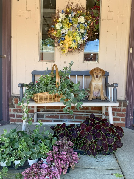 Entry image for Aruba. Clicking this image will show a larger photo